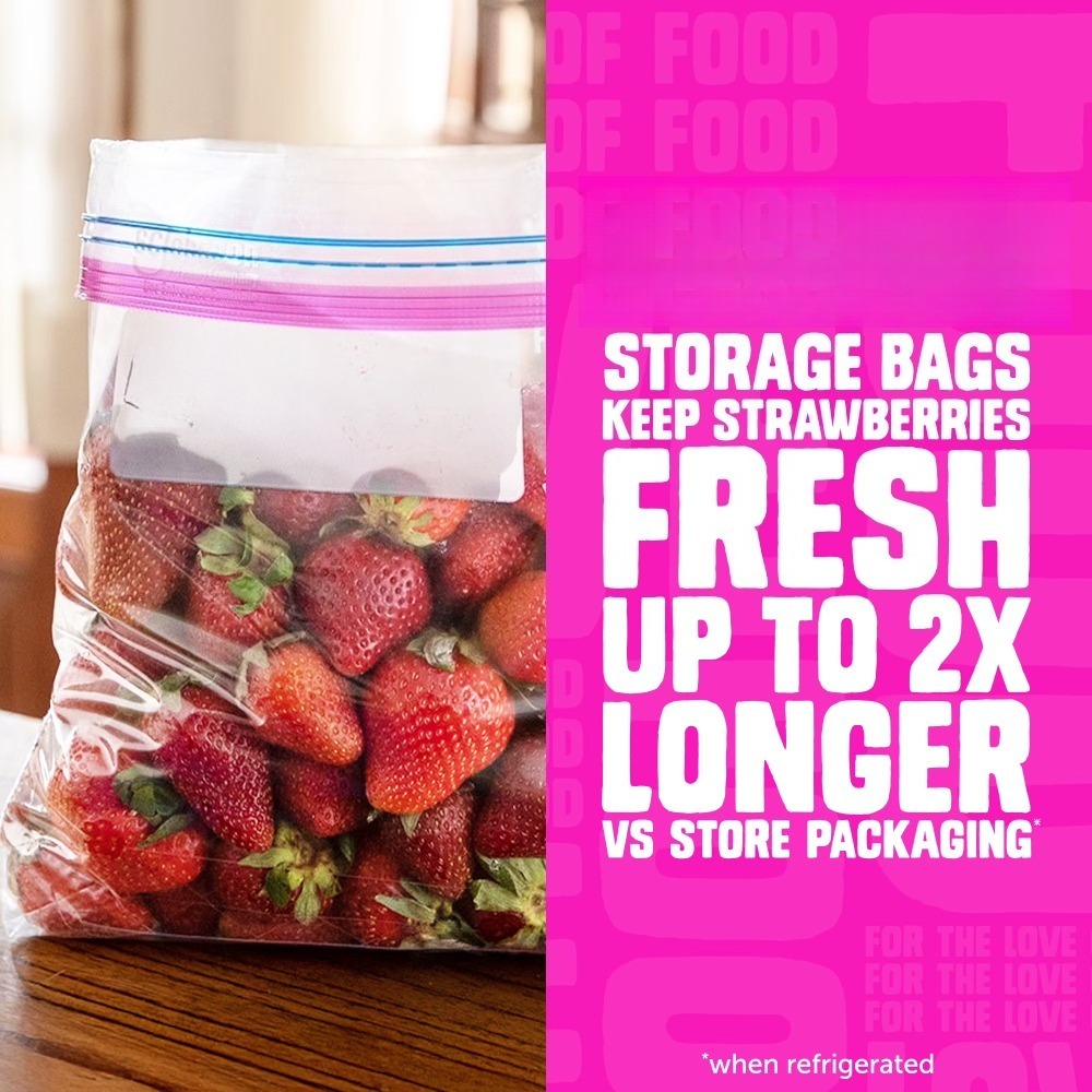 Ziploc Marken-Lebensmittel-Auf – Food Storage Ziploc Bewertung und Preis