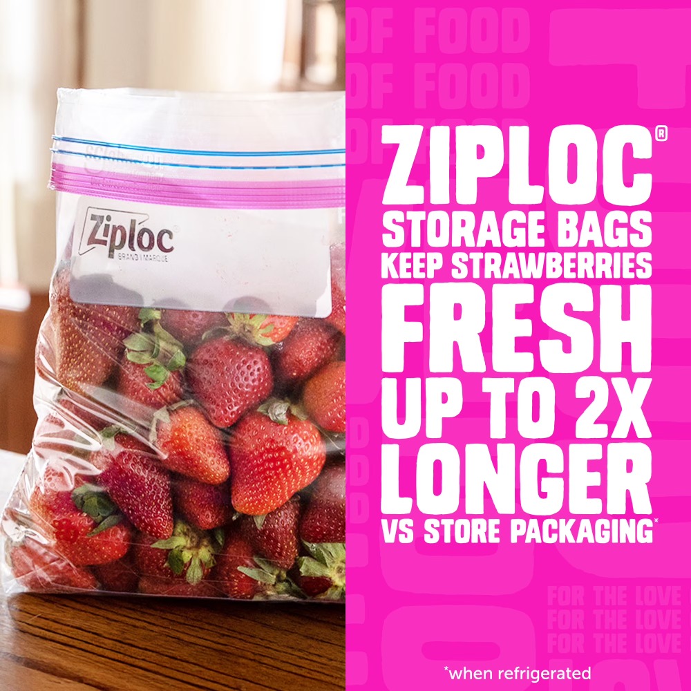 Ziploc Marken-Lebensmittel-Auf – Food Storage Ziploc Bewertung und Preis