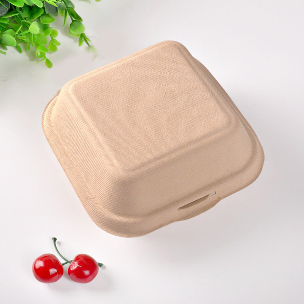 25 Stück Umweltfreundliche Pap – Food Storage Hot Box Bewertung und Preis